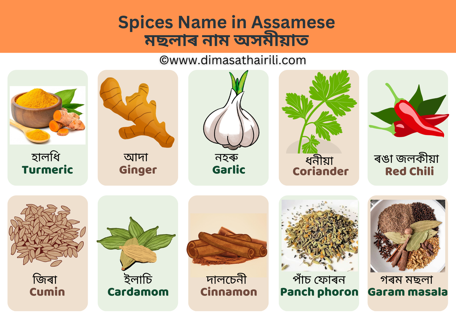 Spices Name in Assamese and English (মছলাৰ নাম অসমীয়াত) spices name in assamese মছলাৰ নাম
